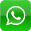 +79186003005